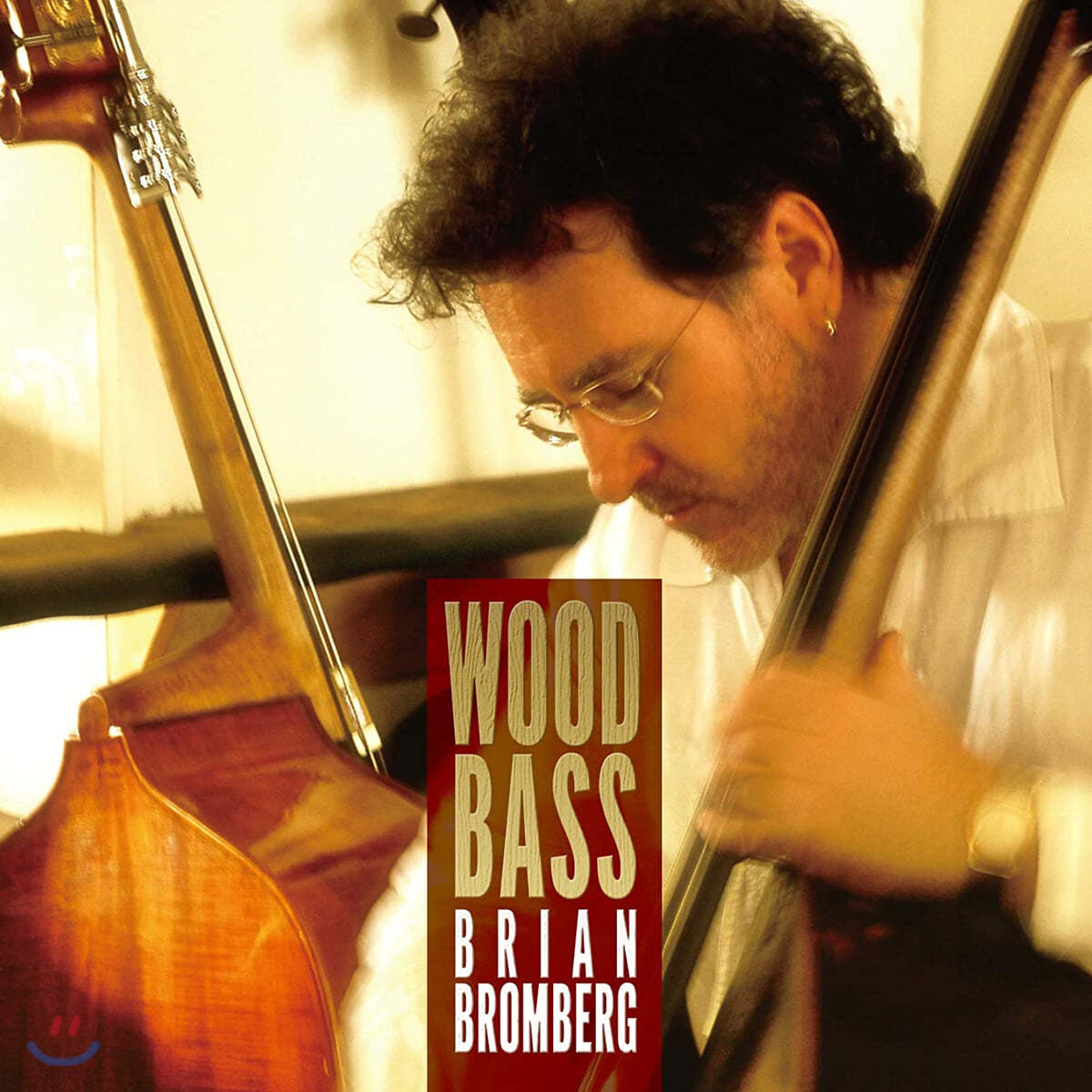 Brian Bromberg (브라이언 브롬버그) - Wood Bass