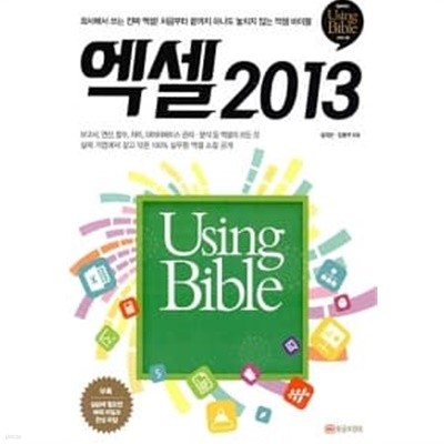 엑셀 2013 Using Bible