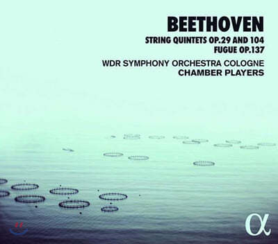 WDR Symphony Orchestra Cologne Chamber Players 베토벤: 현악5중주 Op.29,104 / 푸가 Op.137 (Beethoven: String Quintets)