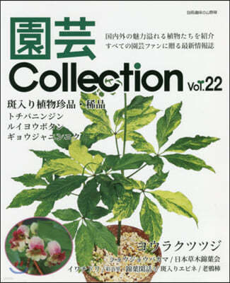Collection  22