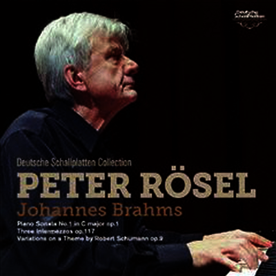 브람스: 피아노 소나타 1번, 세개의 간주곡, 슈만 주제 변주곡 (Brahms: Piano Sonata No.1, 3 Intermezzos Op.117, Variations On A Theme By Robert Schumann Op.9) (일본반)(CD) - Peter Rosel