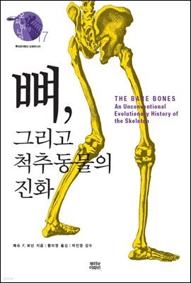 뼈, 그리고 척추동물의 진화