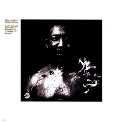 Muddy Waters — After The Rain 앨범 커버