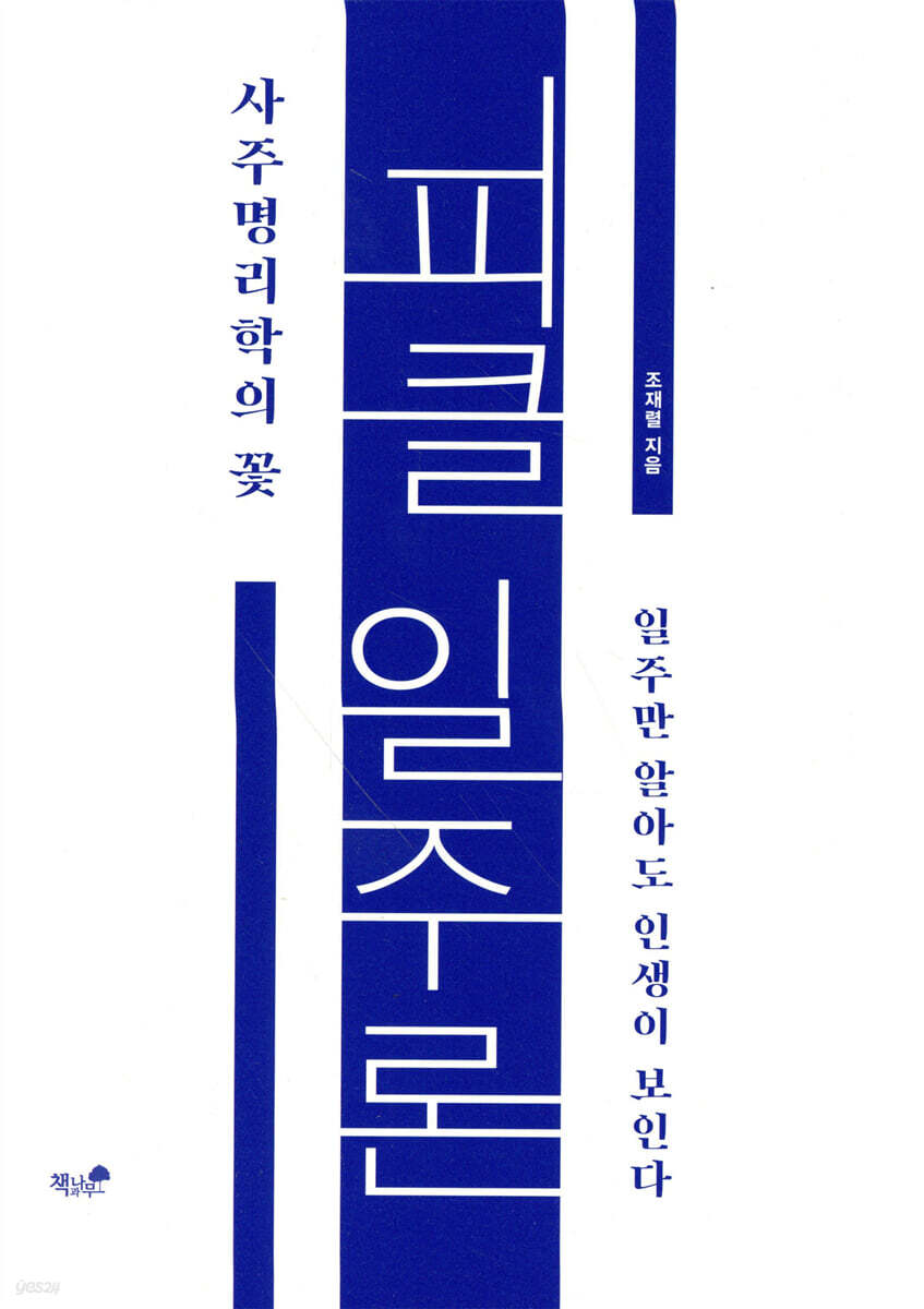 피클 일주론 사주명리학의 꽃