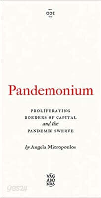 Pandemonium: The Proliferating Borders of Capital and the Pandemic Swerve