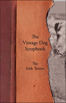 The Vintage Dog Scrapbook - The Irish Terrier