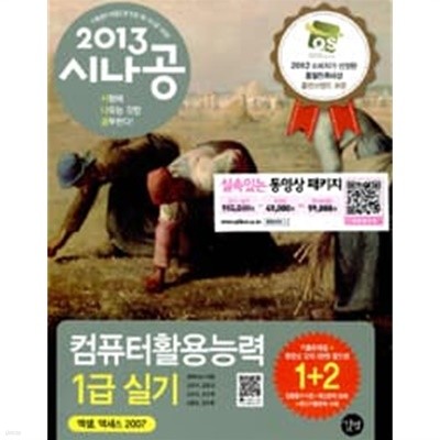 2013 시나공 컴퓨터활용능력 1급 실기 (엑셀, 액세스 2007 사용자용)