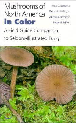 Mushrooms of North America in Color: A Field Guide Companion to Seldom-Illustrated Fungi