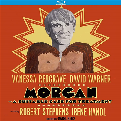 Morgan: A Suitable Case For Treatment () (1966)(ѱ۹ڸ)(Blu-ray)