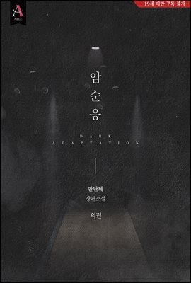 암순응 (외전)