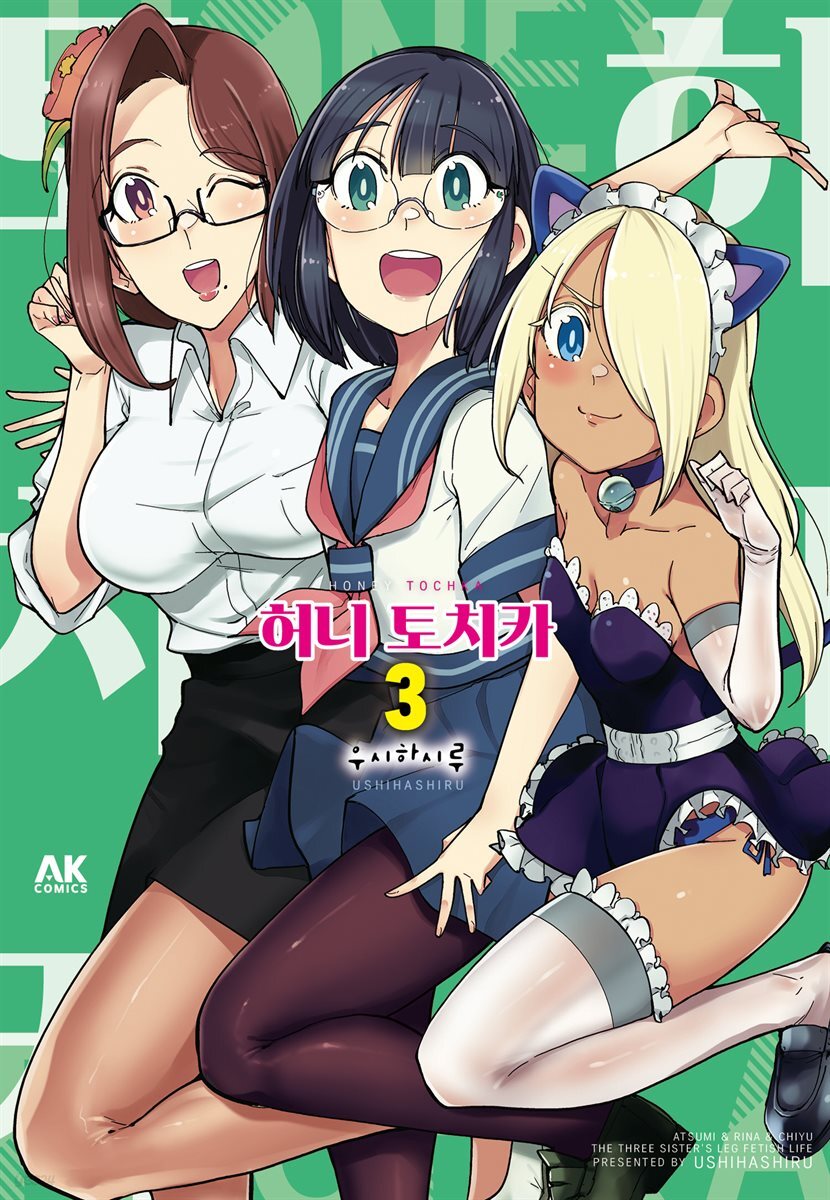 [대여] 허니 토치카 03 (완결)