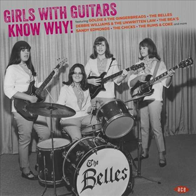 Various Artists — Girls With Guitars Know Why! 앨범 커버