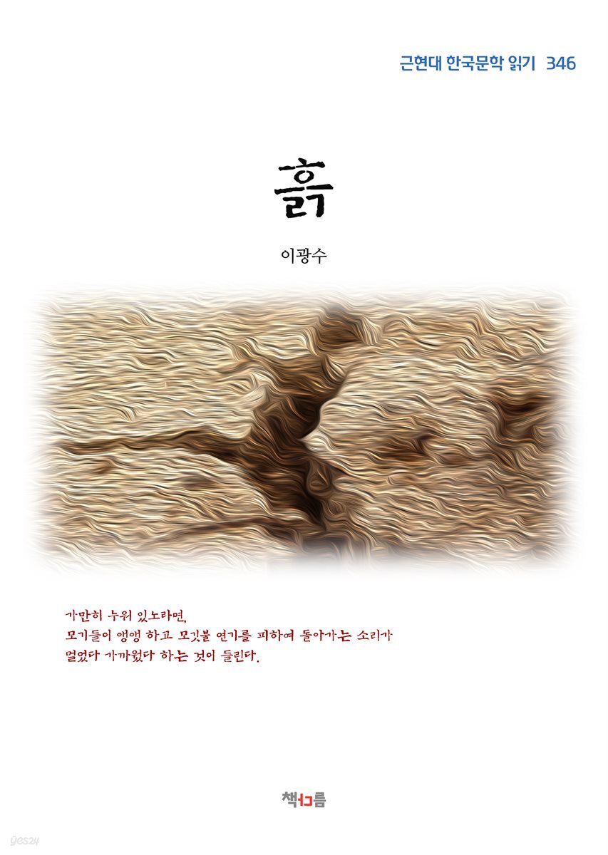 이광수 흙 (근현대 한국문학 읽기 346)