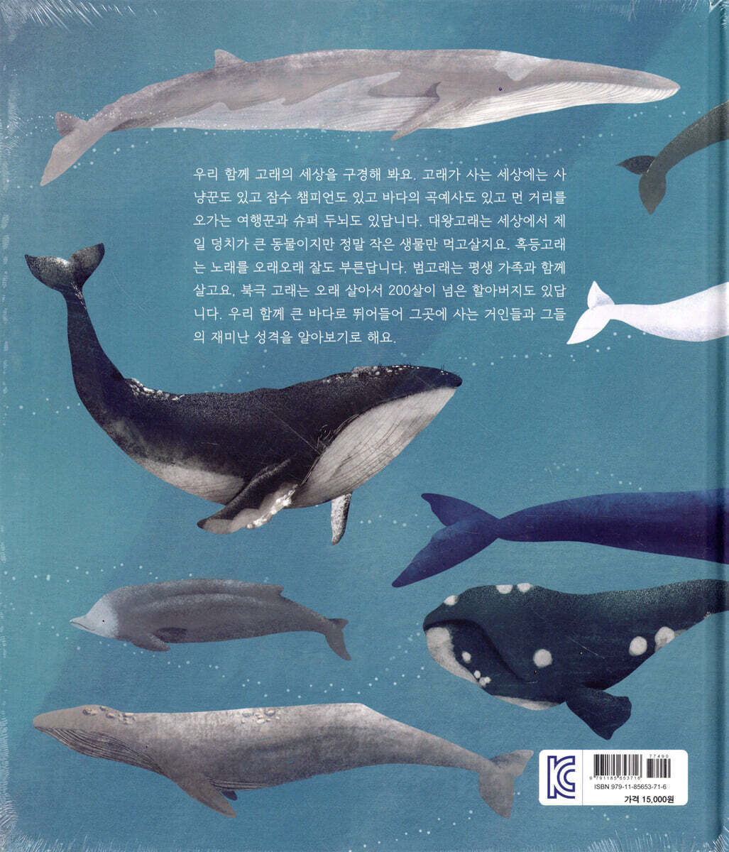 세상의 모든 고래 | 다시 도벨 | 생각의집 - 예스24