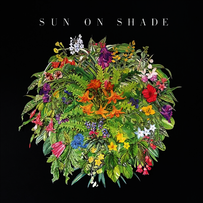 Sun On Shade — Sun On Shade 앨범 커버
