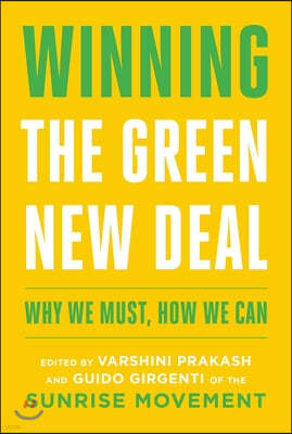 Winning the Green New Deal: Why We Must, How We Can