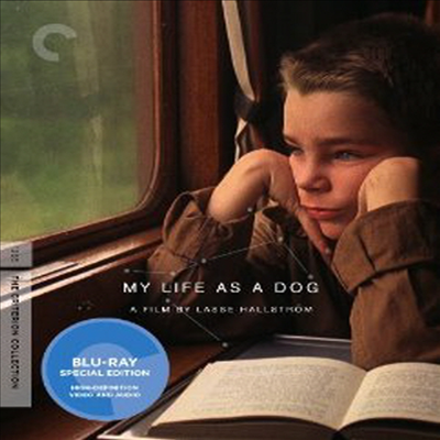 My Life as a Dog (  λ) (The Criterion Collection) (ѱ۹ڸ)(Blu-ray) (1985)