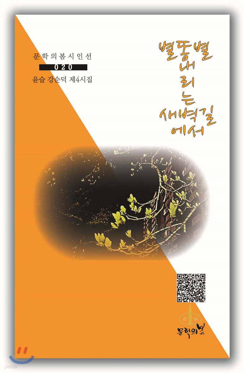 별똥별 내리는 새벽길에서 - 예스24