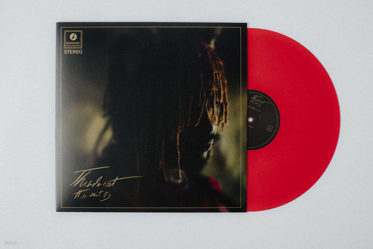 Thundercat (썬더캣) - 4집 It Is What It Is [레드 컬러 LP]