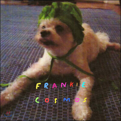 Frankie Cosmos (프랭키 코스모스) — 1집 Zentropy 앨범 커버