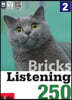 Bricks Listening 250-2