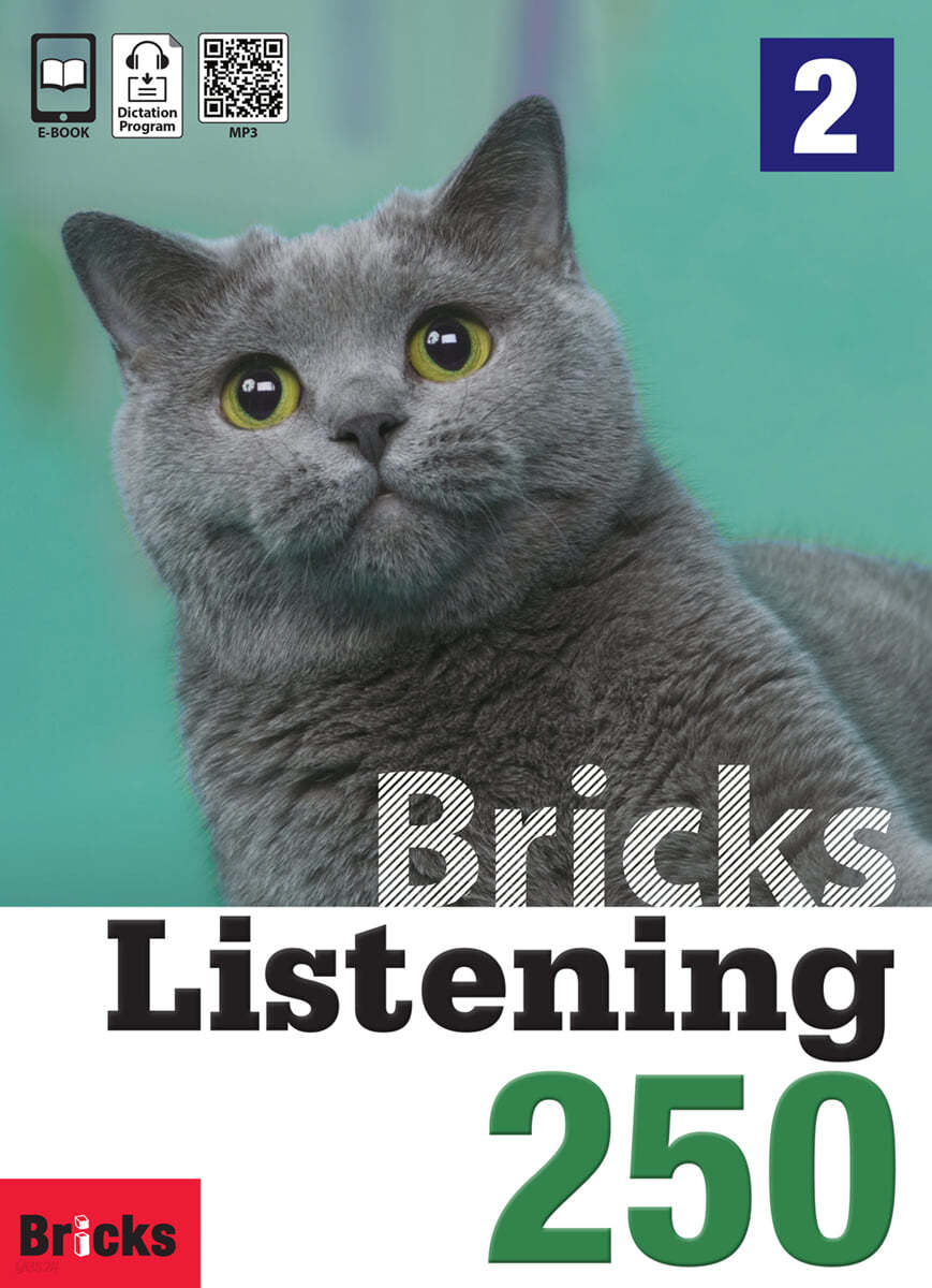 Bricks Listening 250-2