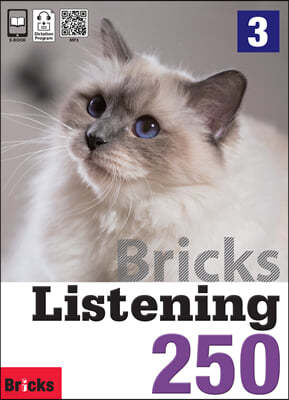 Bricks Listening 250-3