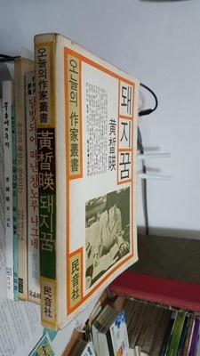 돼지꿈/ 오늘의 작가 총서/ 1982년 10월판  2판/  황석영   