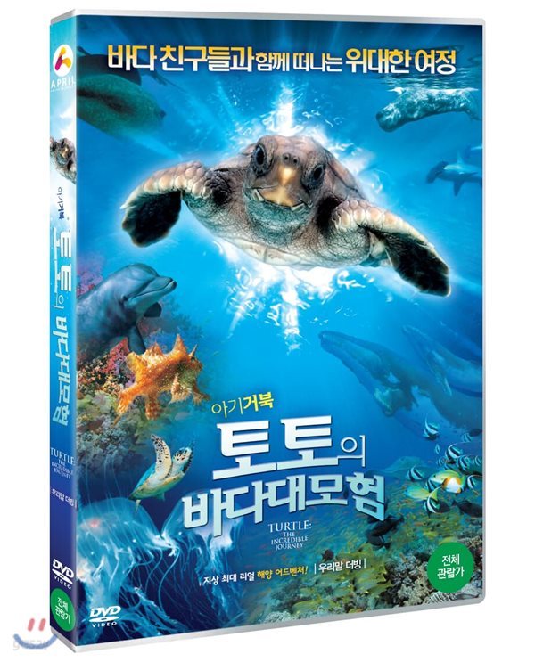 아기거북 토토의 바다대모험(한국어 더빙) (1Disc)