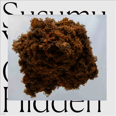 Susumu Yokota — Cloud Hidden (Gatefold) 앨범 커버