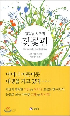 젖꼭판