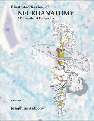 Illustrated Review of Neuroanatomy: 3 Dimensional Perspective