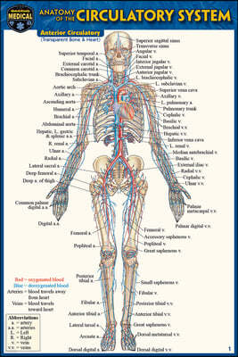 Anatomy of the Circulatory System (Pocket-Sized Edition - 4x6 Inches)