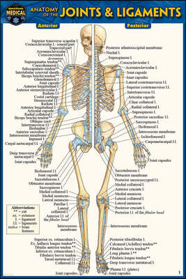 Anatomy of the Joints & Ligaments (Pocket-Sized Edition - 4x6 Inches)