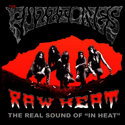 Fuzztones — Raw Heat: The Real Sound Of "In Heat" 앨범 커버