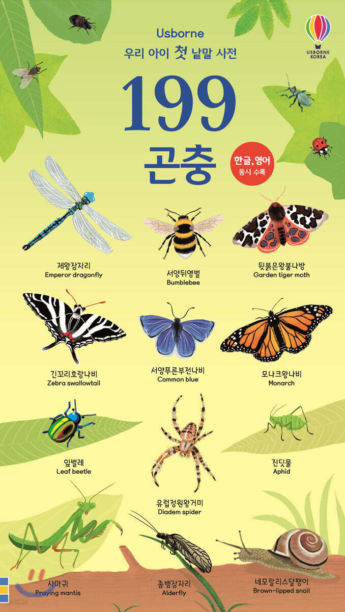 우리 아이 첫 낱말 사전 199 곤충