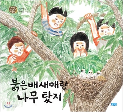 붉은배새매랑 나무 탔지