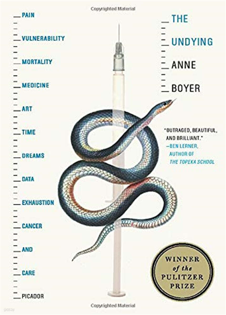 The Undying: Pain, Vulnerability, Mortality, Medicine, Art, Time, Dreams, Data, Exhaustion, Cancer, and Care