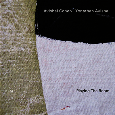 Avishai Cohen — Playing The Room 앨범 커버