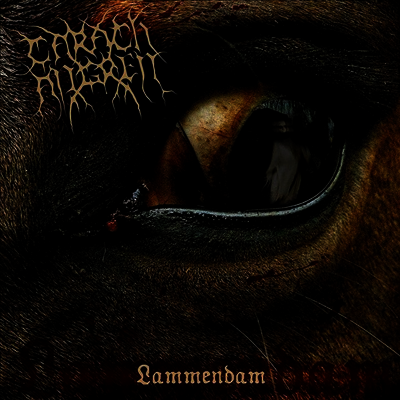 Carach Angren — Lammendam (Gatefold) 앨범 커버