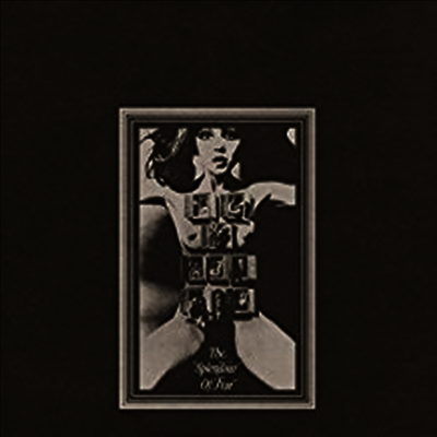 Felt — The Splendour Of Fear (Deluxe Re-Issue Edition)(Gatefold Cover) 앨범 커버