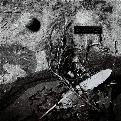 David Sylvian — Secrets Of The Beehive 앨범 커버