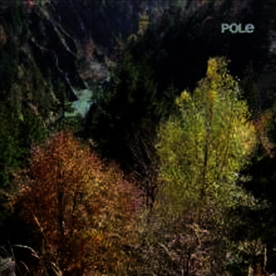 Pole — Wald 앨범 커버