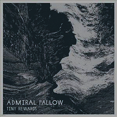 Admiral Fallow — Tiny Rewards (Gatefold)(3 Bonus Tracks) 앨범 커버