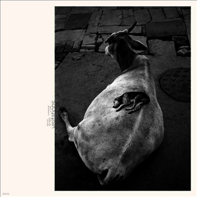 Leo Abrahams & Shahzad Ismaily — Visitations 앨범 커버