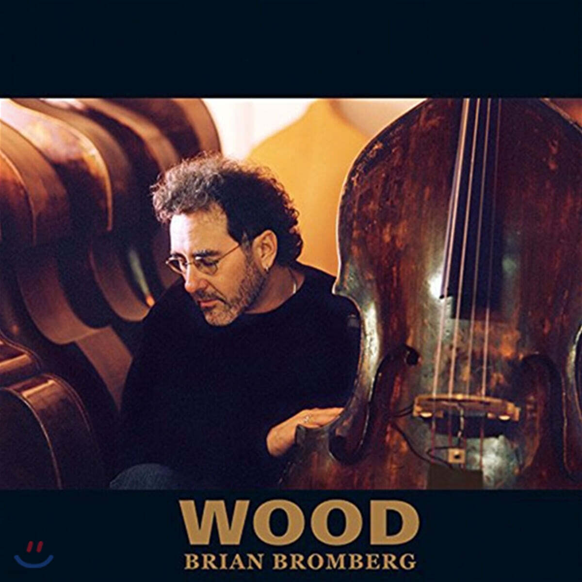 Brian Bromberg (브라이언 브롬버그) - Wood [2LP]