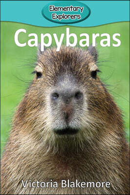 Capybaras