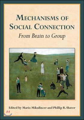 Mechanisms of Social Connection