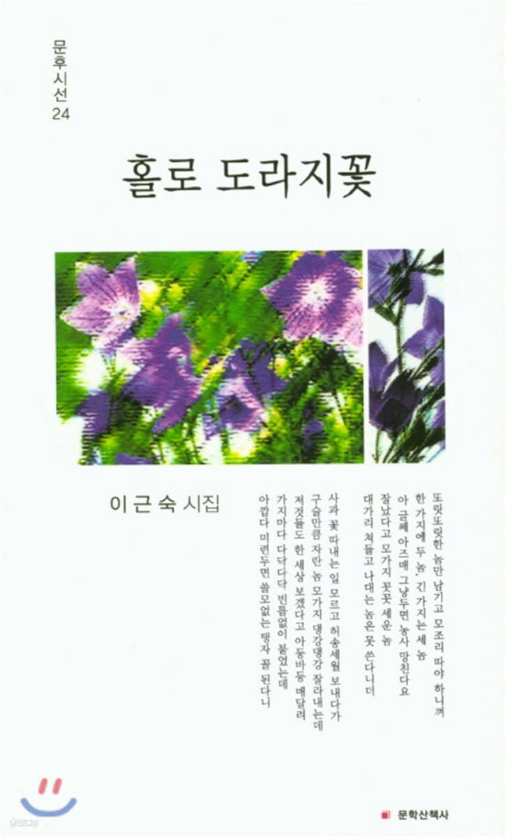 홀로 도라지꽃