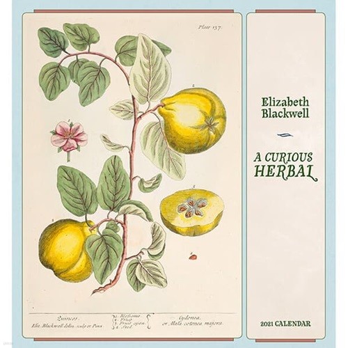 2021년 캘린더 Elizabeth Blackwell: A Curious Herbal